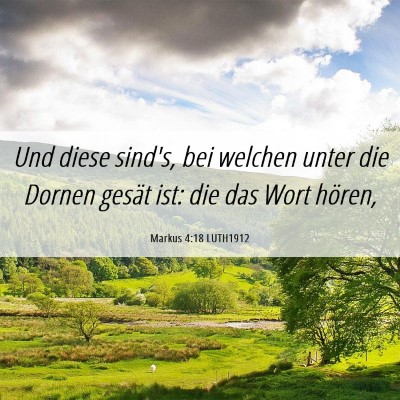 Picture 06 - Markus 4:18 LUTH1912 - Und diese sind's, bei welchen unter die Dornen - Bible Verse Picture