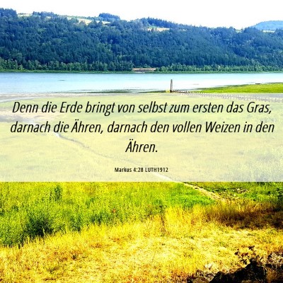 Picture 06 - Markus 4:28 LUTH1912 - Denn die Erde bringt von selbst zum ersten das - Bible Verse Picture