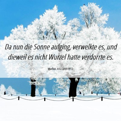 Picture 06 - Markus 4:6 LUTH1912 - Da nun die Sonne aufging, verwelkte es, und - Bible Verse Picture