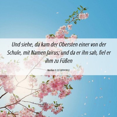 Picture 06 - Markus 5:22 LUTH1912 - Und siehe, da kam der Obersten einer von der - Bible Verse Picture