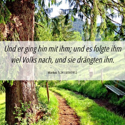 Picture 06 - Markus 5:24 LUTH1912 - Und er ging hin mit ihm; und es folgte ihm viel - Bible Verse Picture