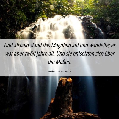 Picture 06 - Markus 5:42 LUTH1912 - Und alsbald stand das Mägdlein auf und wandelte; - Bible Verse Picture