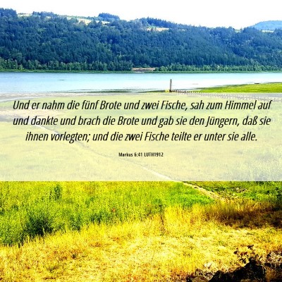Picture 06 - Markus 6:41 LUTH1912 - Und er nahm die fünf Brote und zwei Fische, sah - Bible Verse Picture