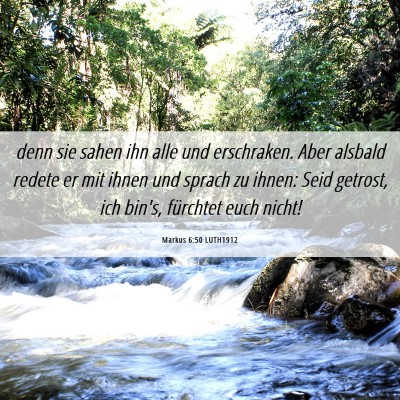 Picture 06 - Markus 6:50 LUTH1912 - denn sie sahen ihn alle und erschraken. Aber - Bible Verse Picture