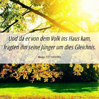 Picture 06 - Markus 7:17 LUTH1912 - Und da er von dem Volk ins Haus kam, fragten ihn - Bible Verse Picture