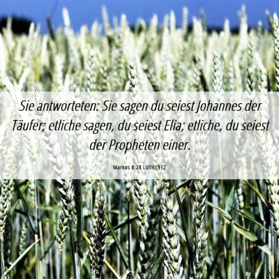 Picture 06 - Markus 8:28 LUTH1912 - Sie antworteten: Sie sagen du seiest Johannes der - Bible Verse Picture