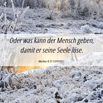 Picture 06 - Markus 8:37 LUTH1912 - Oder was kann der Mensch geben, damit er seine - Bible Verse Picture