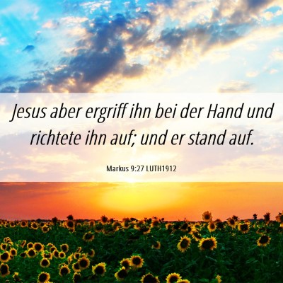 Picture 06 - Markus 9:27 LUTH1912 - Jesus aber ergriff ihn bei der Hand und richtete - Bible Verse Picture