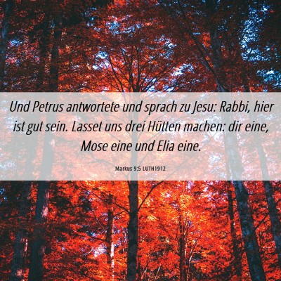 Picture 06 - Markus 9:5 LUTH1912 - Und Petrus antwortete und sprach zu Jesu: Rabbi, - Bible Verse Picture