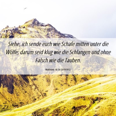 Picture 06 - Matthäus 10:16 LUTH1912 - Siehe, ich sende euch wie Schafe mitten unter die - Bible Verse Picture