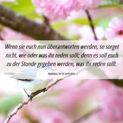 Picture 06 - Matthäus 10:19 LUTH1912 - Wenn sie euch nun überantworten werden, so - Bible Verse Picture
