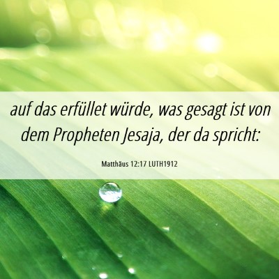 Picture 06 - Matthäus 12:17 LUTH1912 - auf das erfüllet würde, was gesagt ist von dem - Bible Verse Picture