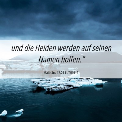 Picture 06 - Matthäus 12:21 LUTH1912 - und die Heiden werden auf seinen Namen - Bible Verse Picture