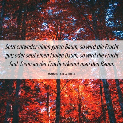 Picture 06 - Matthäus 12:33 LUTH1912 - Setzt entweder einen guten Baum, so wird die - Bible Verse Picture
