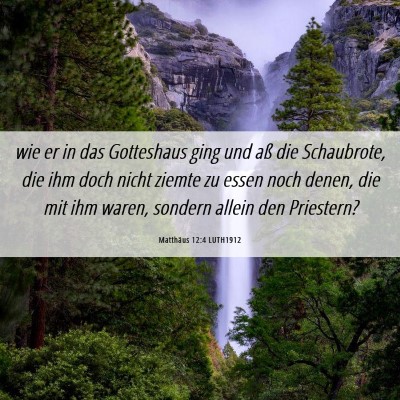 Picture 06 - Matthäus 12:4 LUTH1912 - wie er in das Gotteshaus ging und aß die - Bible Verse Picture