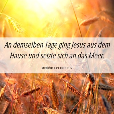 Picture 06 - Matthäus 13:1 LUTH1912 - An demselben Tage ging Jesus aus dem Hause und - Bible Verse Picture