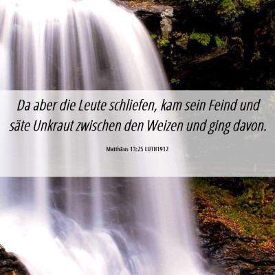 Picture 06 - Matthäus 13:25 LUTH1912 - Da aber die Leute schliefen, kam sein Feind und - Bible Verse Picture
