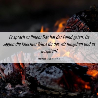 Picture 06 - Matthäus 13:28 LUTH1912 - Er sprach zu ihnen: Das hat der Feind getan. Da - Bible Verse Picture