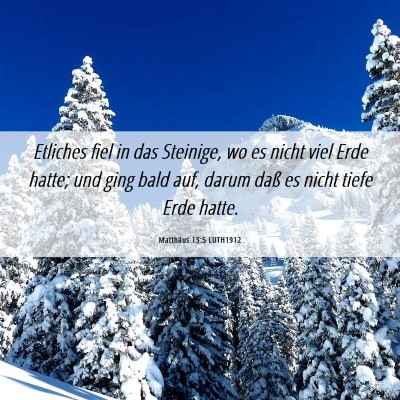 Picture 06 - Matthäus 13:5 LUTH1912 - Etliches fiel in das Steinige, wo es nicht viel - Bible Verse Picture