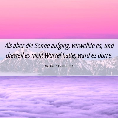 Picture 06 - Matthäus 13:6 LUTH1912 - Als aber die Sonne aufging, verwelkte es, und - Bible Verse Picture