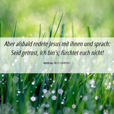 Picture 06 - Matthäus 14:27 LUTH1912 - Aber alsbald redete Jesus mit ihnen und sprach: - Bible Verse Picture