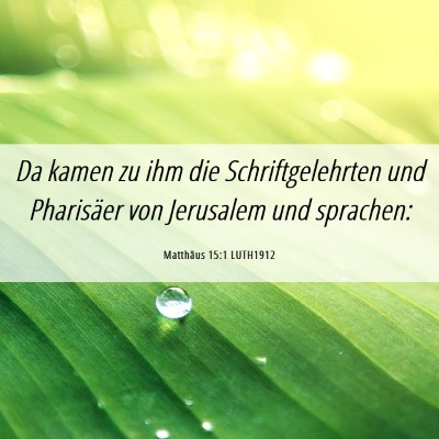 Picture 06 - Matthäus 15:1 LUTH1912 - Da kamen zu ihm die Schriftgelehrten und - Bible Verse Picture