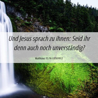 Picture 06 - Matthäus 15:16 LUTH1912 - Und Jesus sprach zu ihnen: Seid ihr denn auch - Bible Verse Picture
