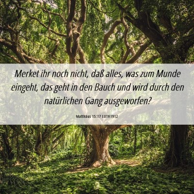 Picture 06 - Matthäus 15:17 LUTH1912 - Merket ihr noch nicht, daß alles, was zum Munde - Bible Verse Picture