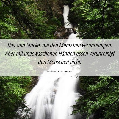 Picture 06 - Matthäus 15:20 LUTH1912 - Das sind Stücke, die den Menschen verunreinigen. - Bible Verse Picture