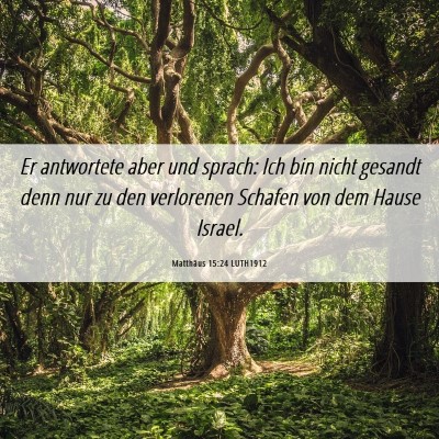 Picture 06 - Matthäus 15:24 LUTH1912 - Er antwortete aber und sprach: Ich bin nicht - Bible Verse Picture