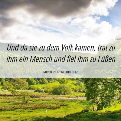Picture 06 - Matthäus 17:14 LUTH1912 - Und da sie zu dem Volk kamen, trat zu ihm ein - Bible Verse Picture
