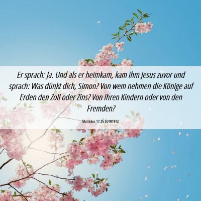 Picture 06 - Matthäus 17:25 LUTH1912 - Er sprach: Ja. Und als er heimkam, kam ihm Jesus - Bible Verse Picture