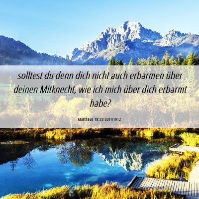 Picture 06 - Matthäus 18:33 LUTH1912 - solltest du denn dich nicht auch erbarmen über - Bible Verse Picture