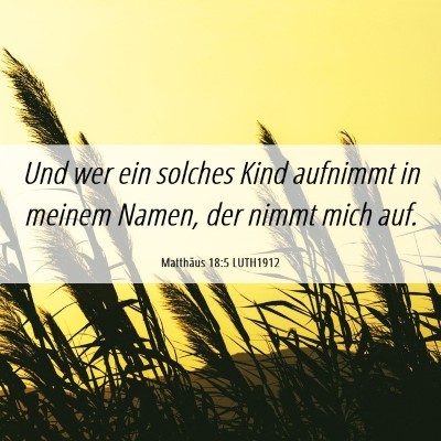 Picture 06 - Matthäus 18:5 LUTH1912 - Und wer ein solches Kind aufnimmt in meinem - Bible Verse Picture