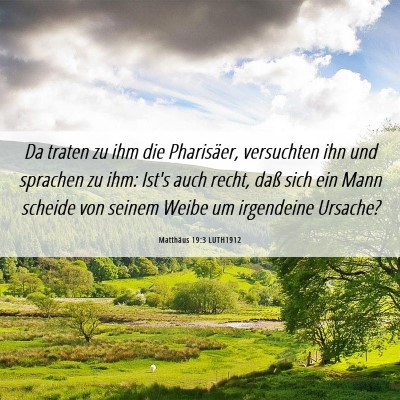 Picture 06 - Matthäus 19:3 LUTH1912 - Da traten zu ihm die Pharisäer, versuchten ihn - Bible Verse Picture