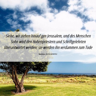 Picture 06 - Matthäus 20:18 LUTH1912 - Siehe, wir ziehen hinauf gen Jerusalem, und des - Bible Verse Picture