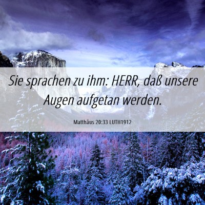 Picture 06 - Matthäus 20:33 LUTH1912 - Sie sprachen zu ihm: HERR, daß unsere Augen - Bible Verse Picture