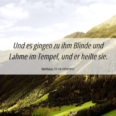 Picture 06 - Matthäus 21:14 LUTH1912 - Und es gingen zu ihm Blinde und Lahme im Tempel, - Bible Verse Picture