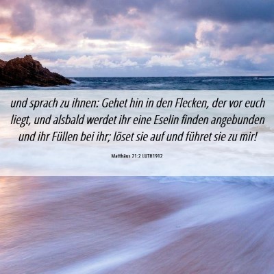 Picture 06 - Matthäus 21:2 LUTH1912 - und sprach zu ihnen: Gehet hin in den Flecken, - Bible Verse Picture