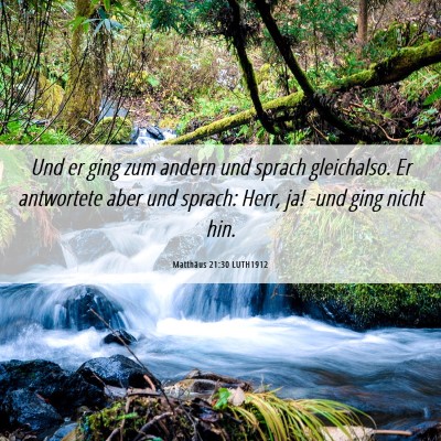 Picture 06 - Matthäus 21:30 LUTH1912 - Und er ging zum andern und sprach gleichalso. Er - Bible Verse Picture