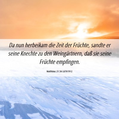 Picture 06 - Matthäus 21:34 LUTH1912 - Da nun herbeikam die Zeit der Früchte, sandte er - Bible Verse Picture