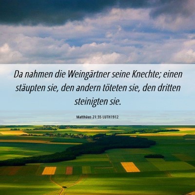 Picture 06 - Matthäus 21:35 LUTH1912 - Da nahmen die Weingärtner seine Knechte; einen - Bible Verse Picture