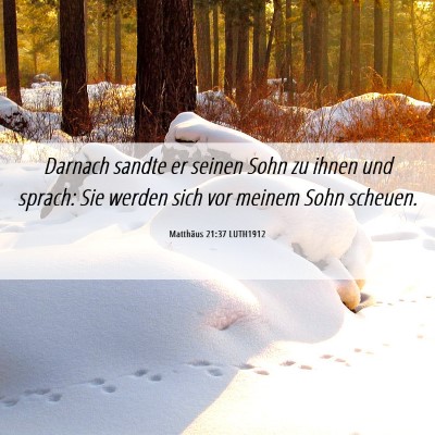 Picture 06 - Matthäus 21:37 LUTH1912 - Darnach sandte er seinen Sohn zu ihnen und - Bible Verse Picture