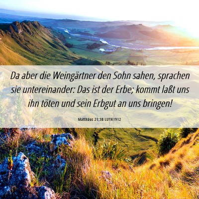 Picture 06 - Matthäus 21:38 LUTH1912 - Da aber die Weingärtner den Sohn sahen, sprachen - Bible Verse Picture