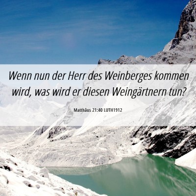 Picture 06 - Matthäus 21:40 LUTH1912 - Wenn nun der Herr des Weinberges kommen wird, was - Bible Verse Picture
