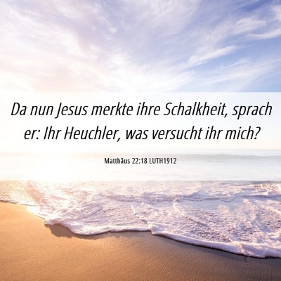 Picture 06 - Matthäus 22:18 LUTH1912 - Da nun Jesus merkte ihre Schalkheit, sprach er: - Bible Verse Picture