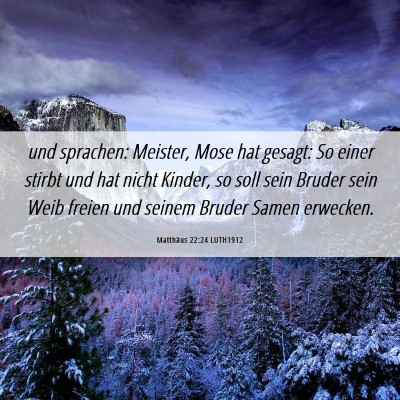 Picture 06 - Matthäus 22:24 LUTH1912 - und sprachen: Meister, Mose hat gesagt: So einer - Bible Verse Picture