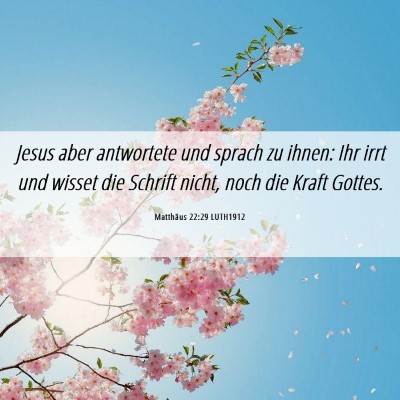 Picture 06 - Matthäus 22:29 LUTH1912 - Jesus aber antwortete und sprach zu ihnen: Ihr - Bible Verse Picture