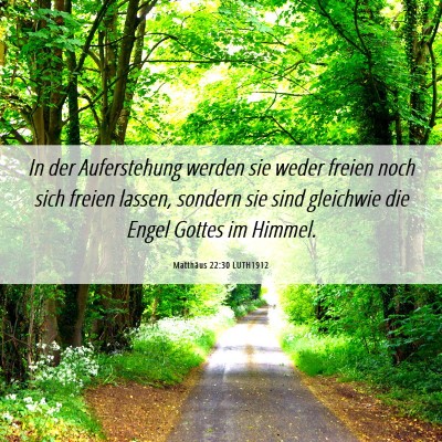 Picture 06 - Matthäus 22:30 LUTH1912 - In der Auferstehung werden sie weder freien noch - Bible Verse Picture