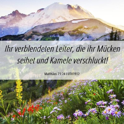 Picture 06 - Matthäus 23:24 LUTH1912 - Ihr verblendeten Leiter, die ihr Mücken seihet - Bible Verse Picture